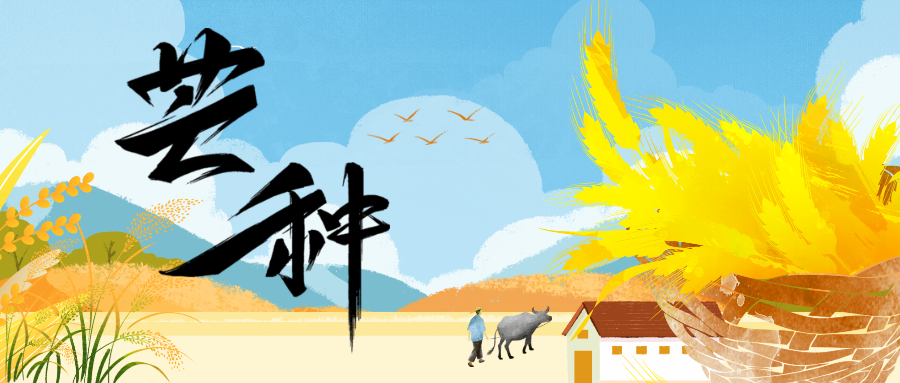 ��÷����������xԊ ��ʢ���  2025��06��05�� 08:01 ����